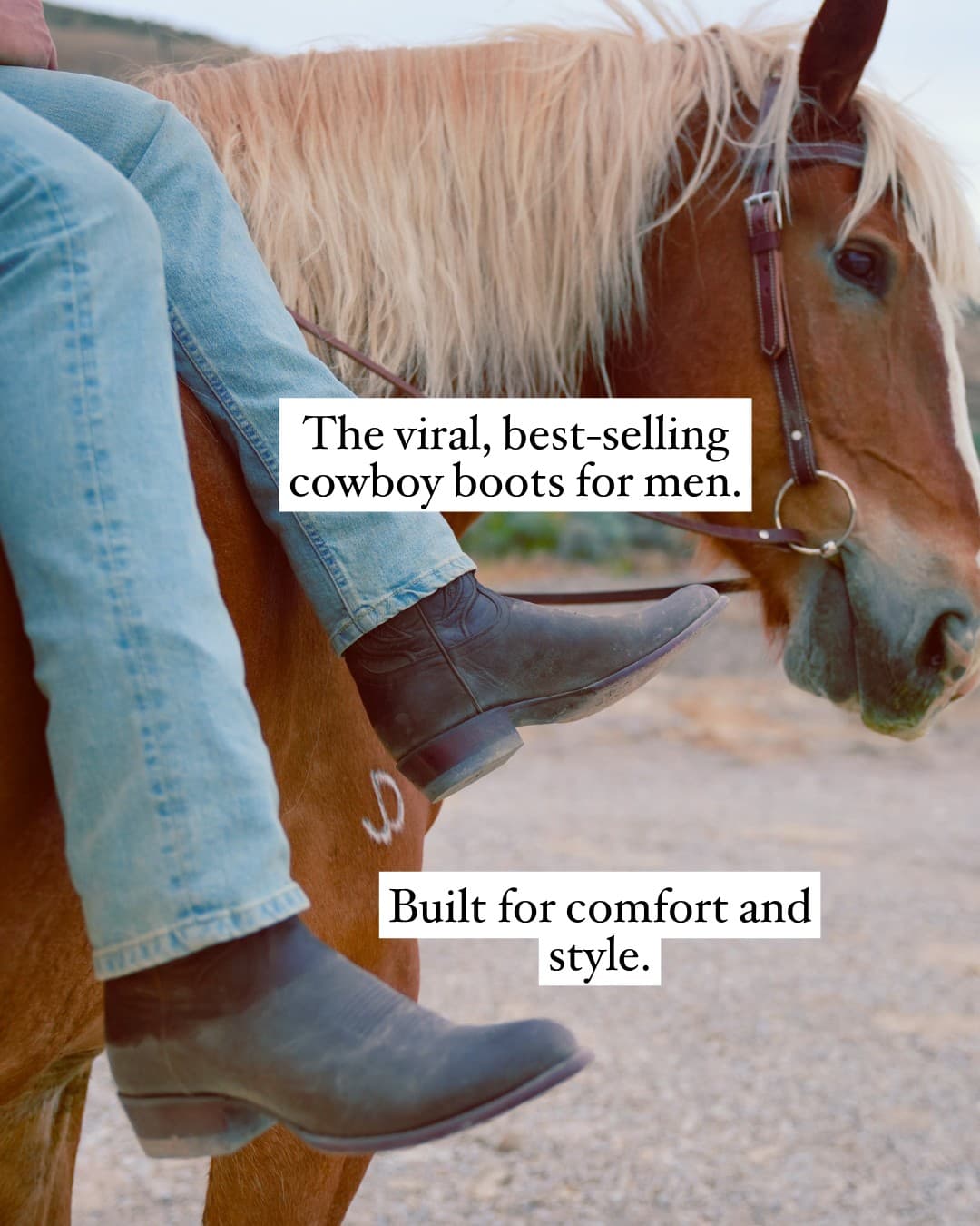 The Quality Edit · Lifestyle Image ad