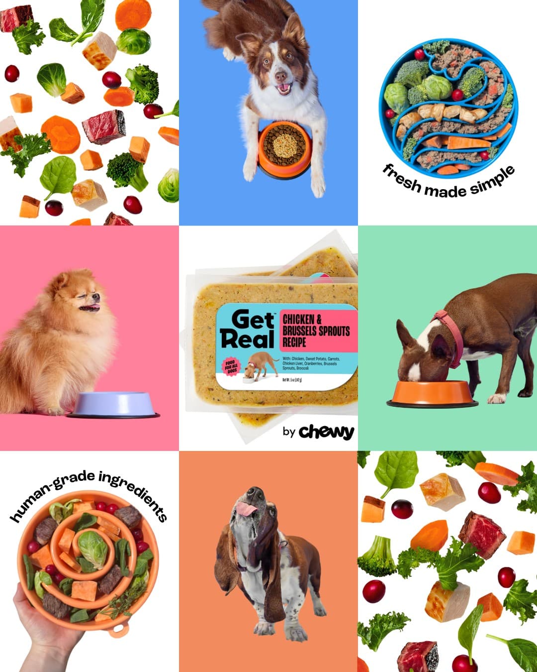 Chewy · Collage ad