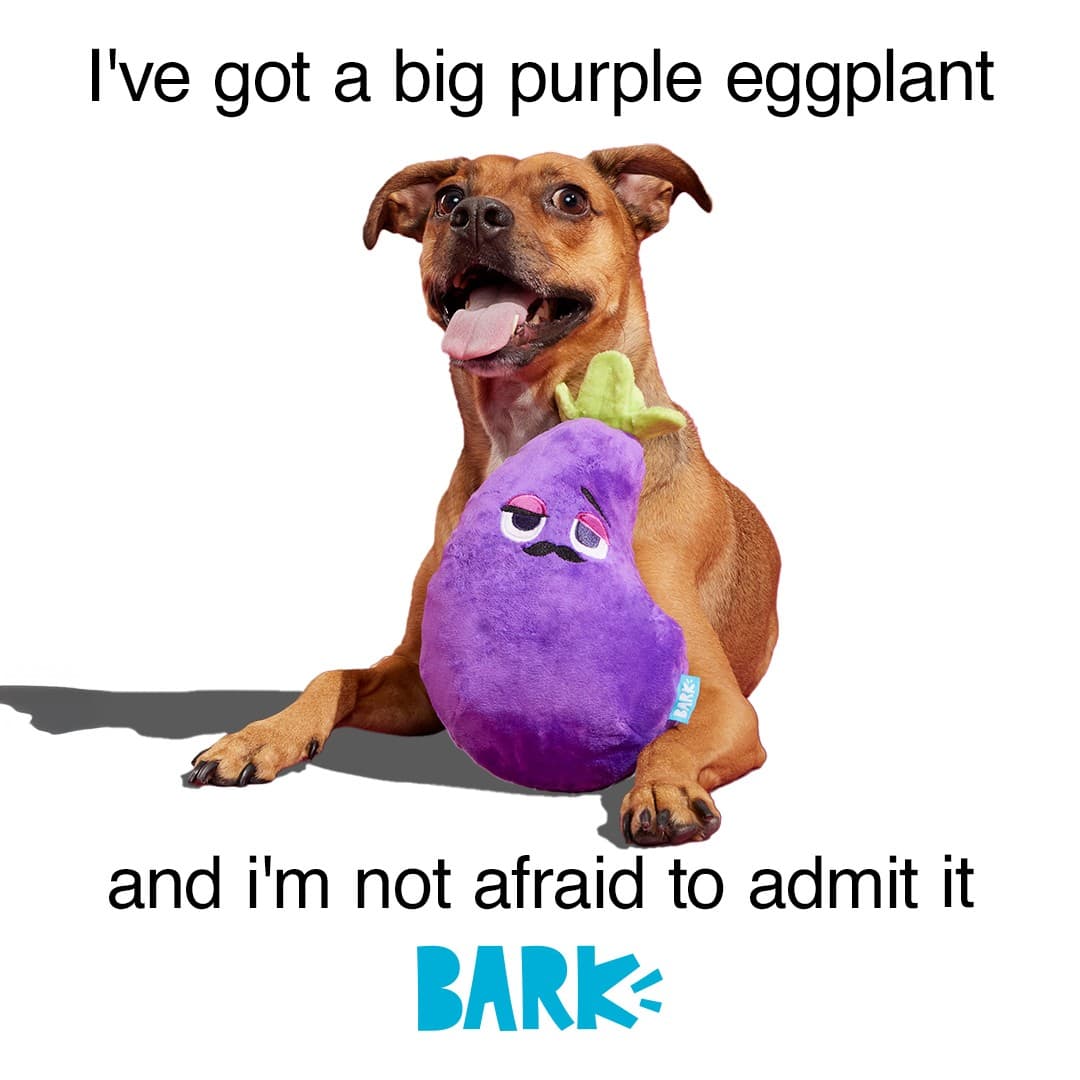 BarkBox · Meme ad