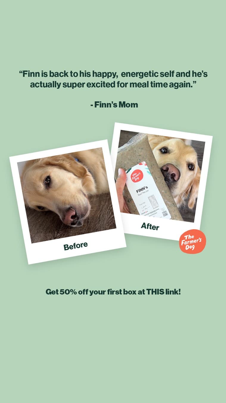 The Farmer's Dog · Before and After ad