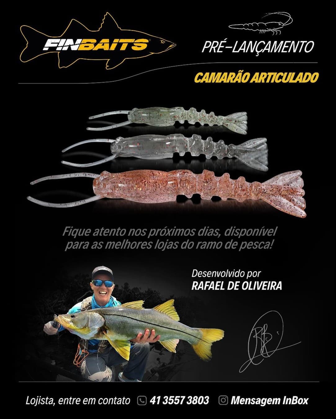 Milha Náutica Brasil · Collage ad