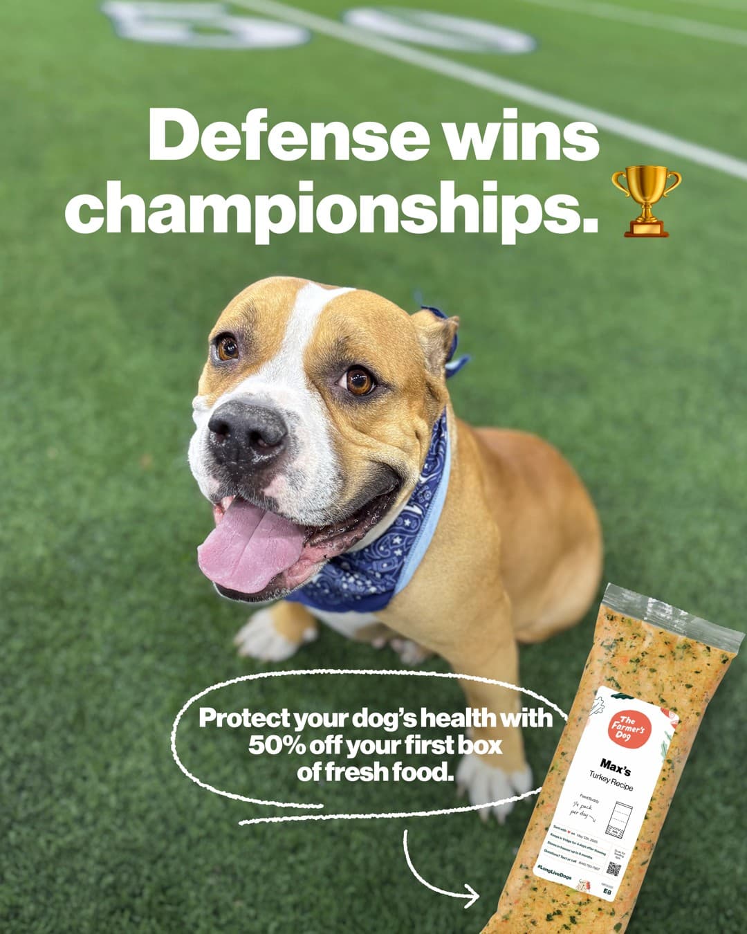 The Farmer's Dog · Offer-First Banner ad