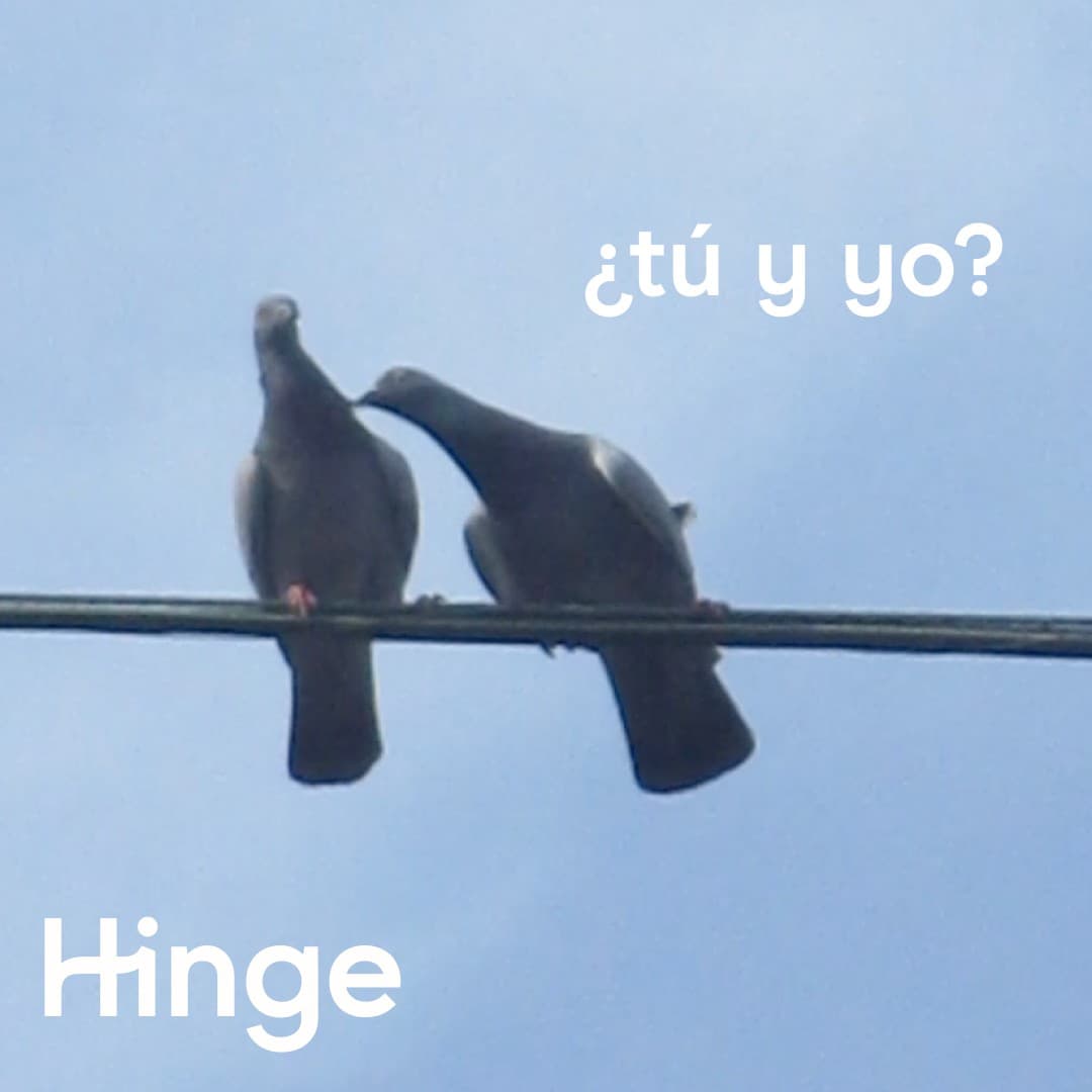 Hinge · Meme ad