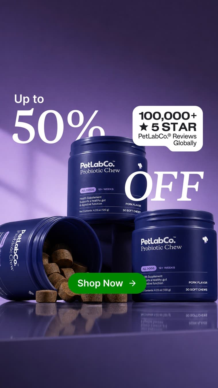 PetLab Co. · Offer-First Banner ad