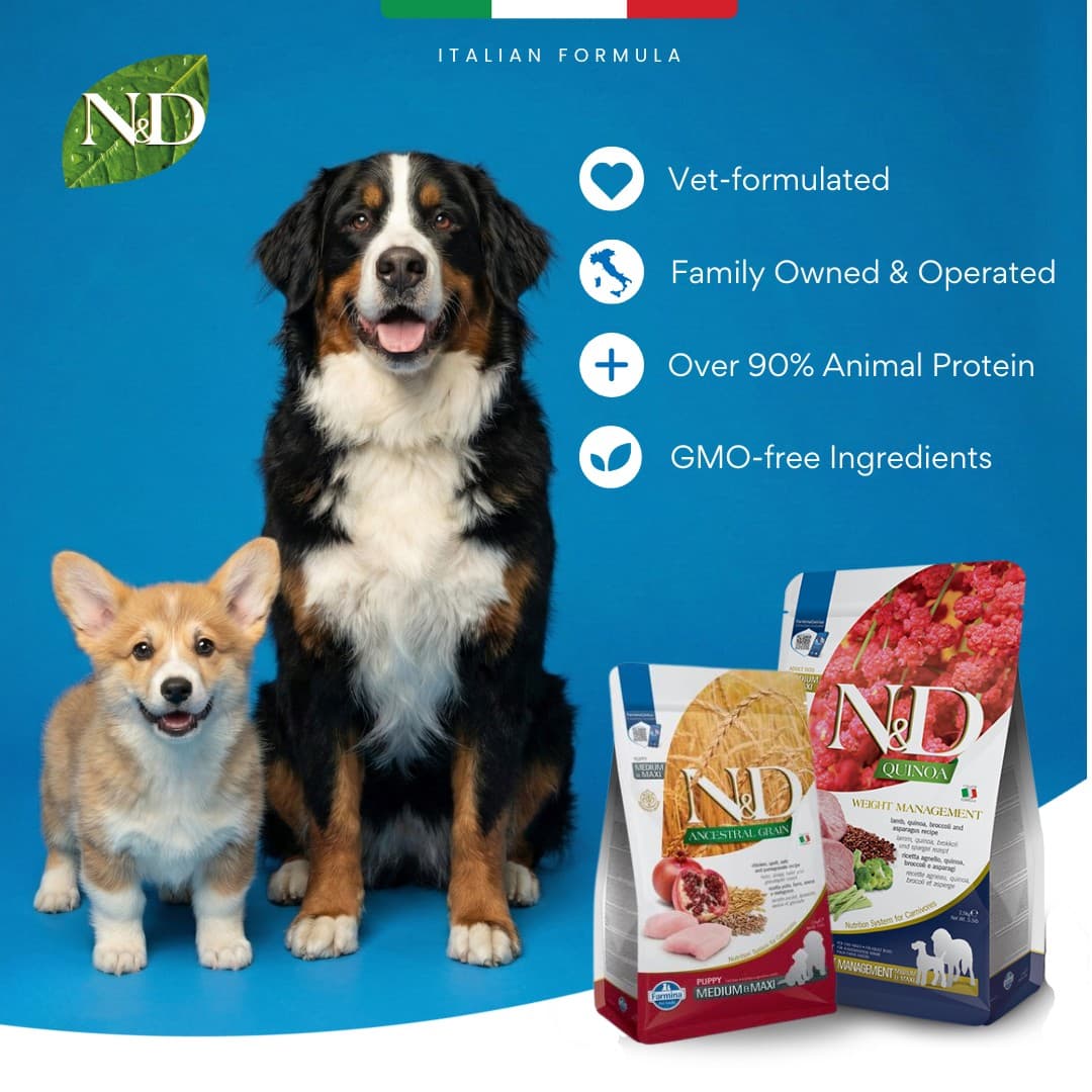Chewy · Collage ad
