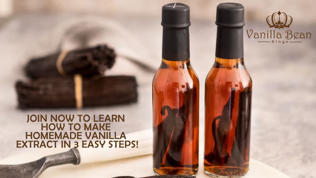 Vanilla Bean Kings · Product Image ad
