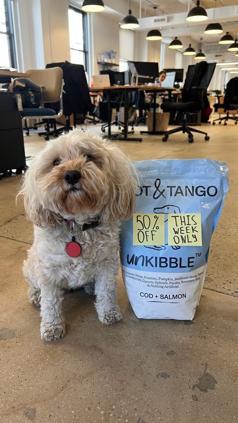 Spot and Tango · Post It ad