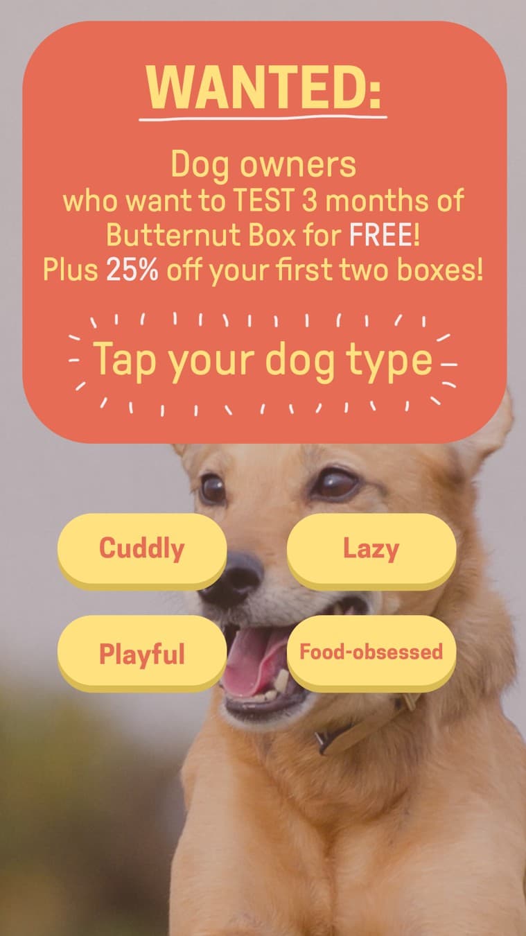 Butternut Box · Offer-First Banner ad