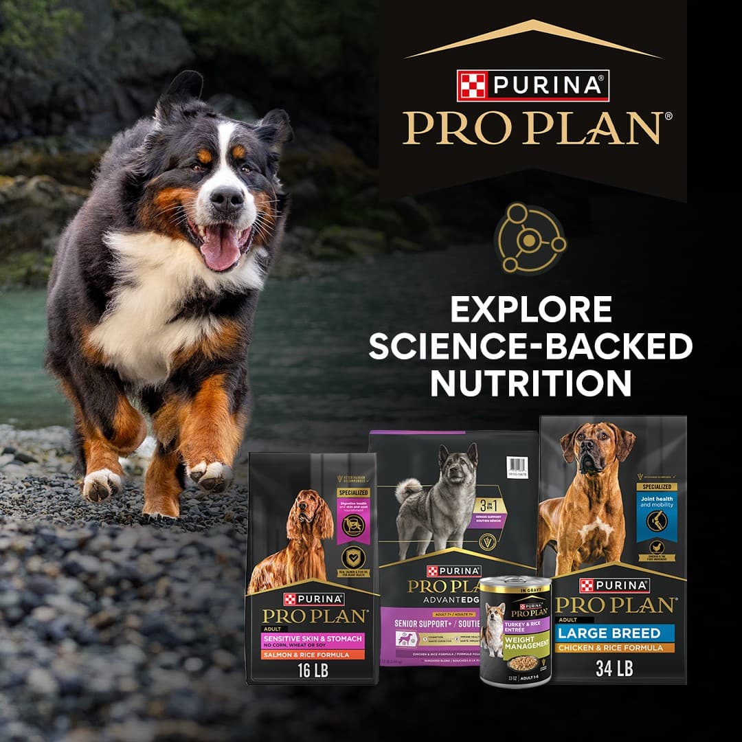 Chewy · Collage ad