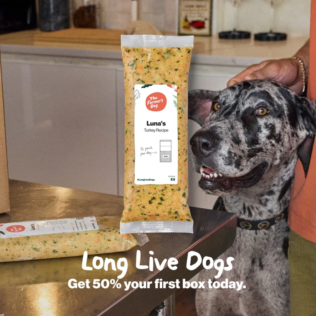 The Farmer's Dog · Offer-First Banner ad