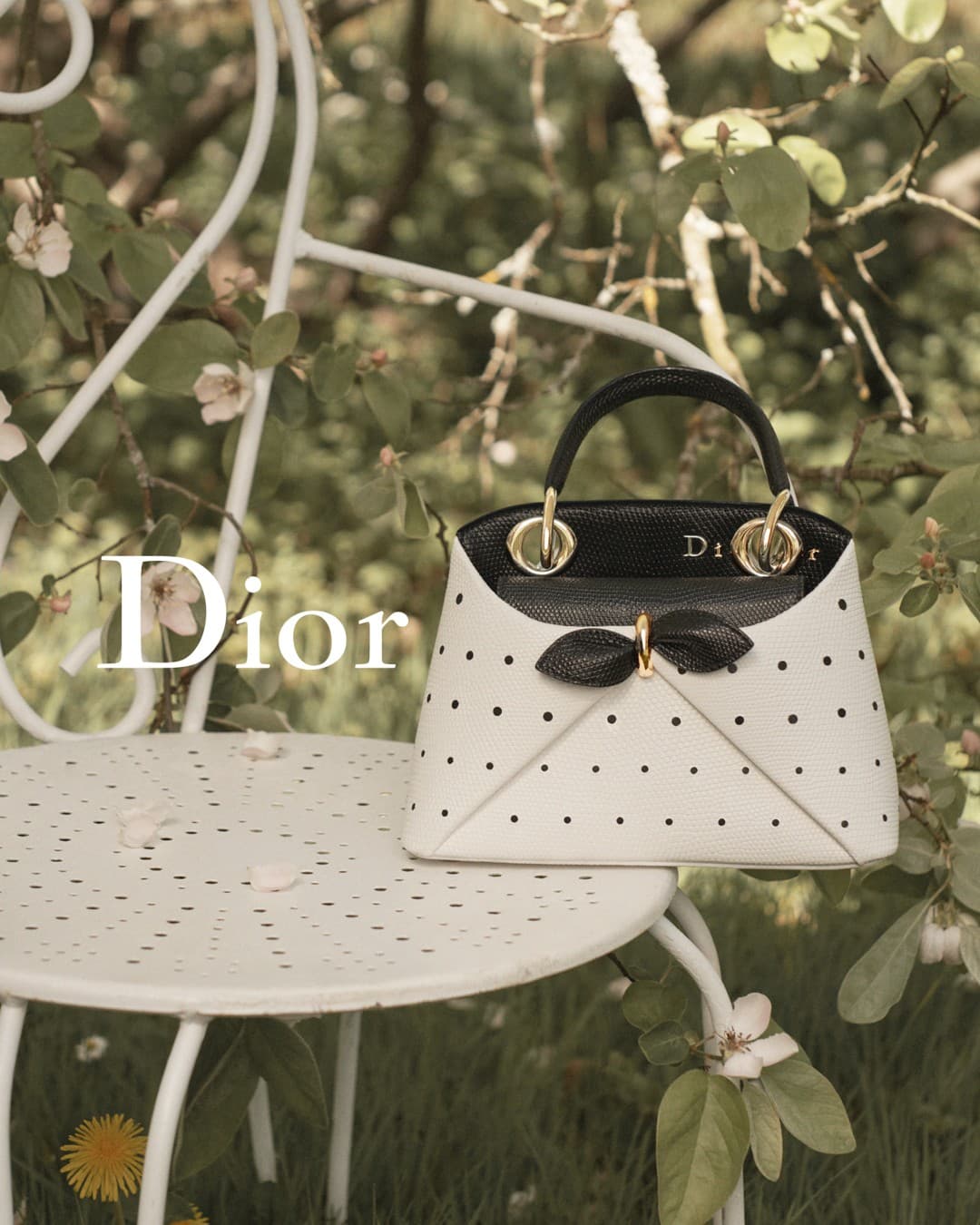 Dior · Product Image ad