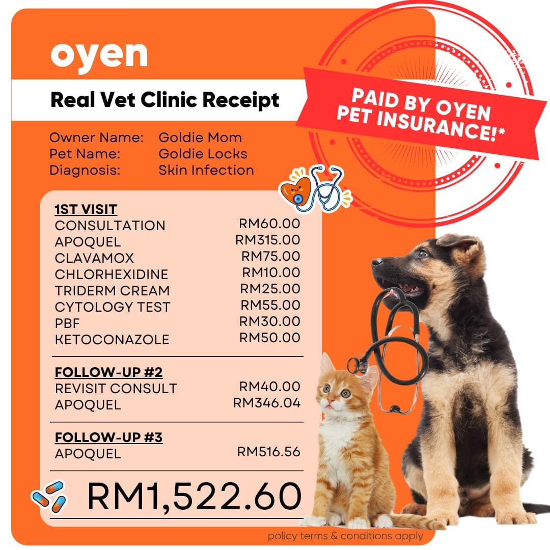 Oyen Pet Insurance & Takaful Kucing · Document Mockup ad