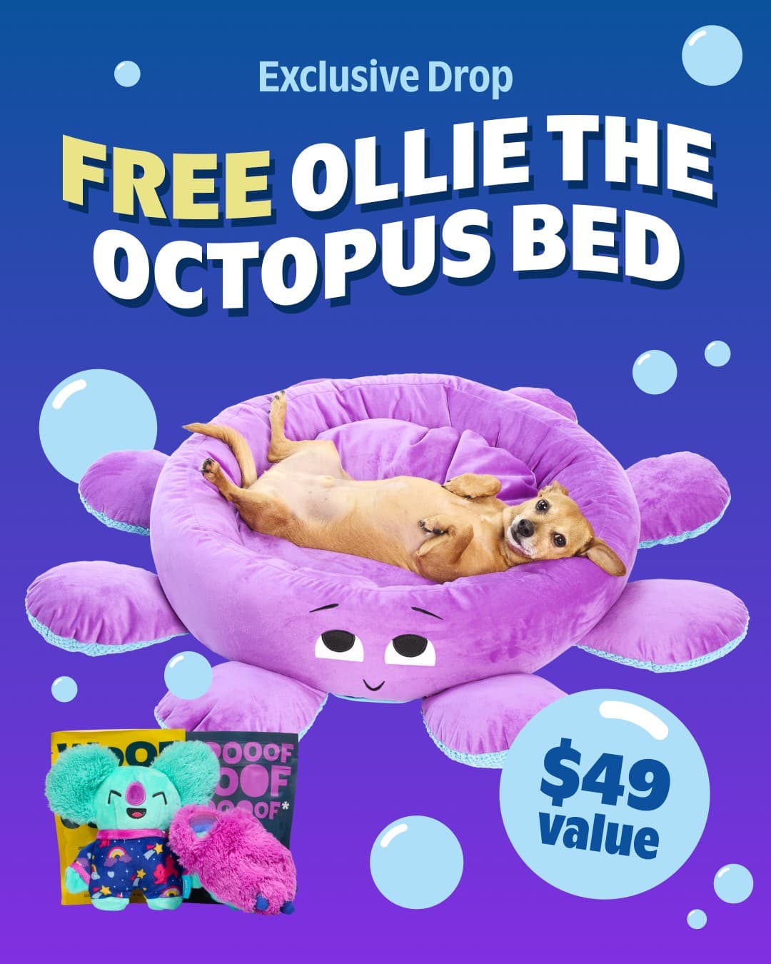 BarkBox · Offer-First Banner ad
