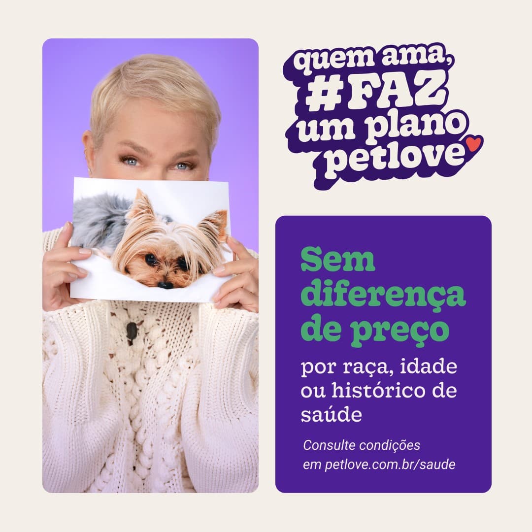 Petlove · Editorial ad