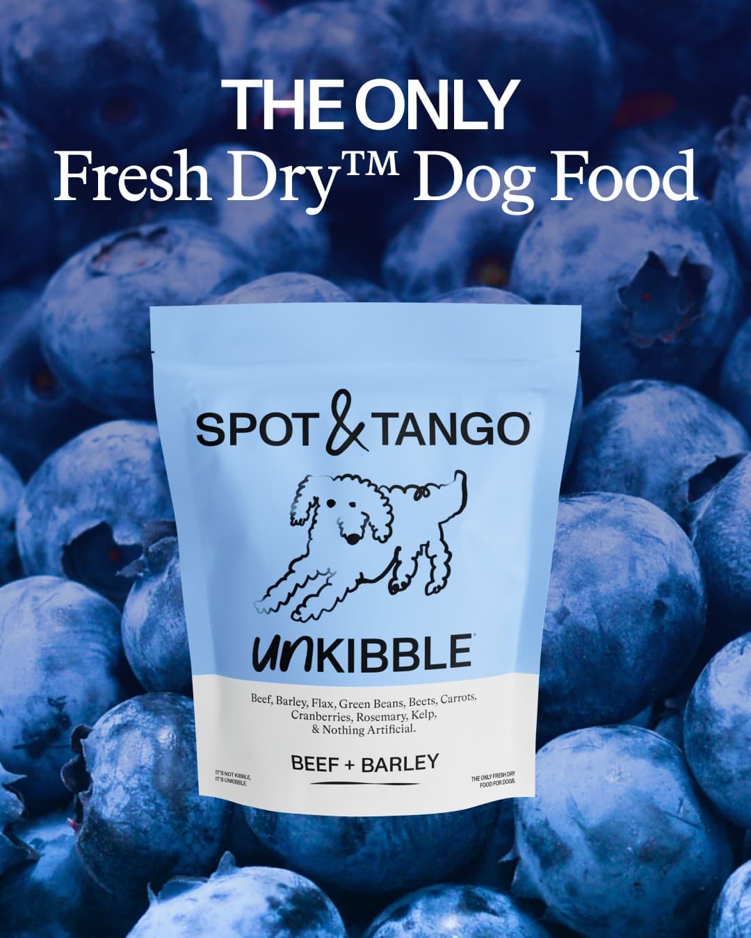 Spot and Tango · Product Image ad