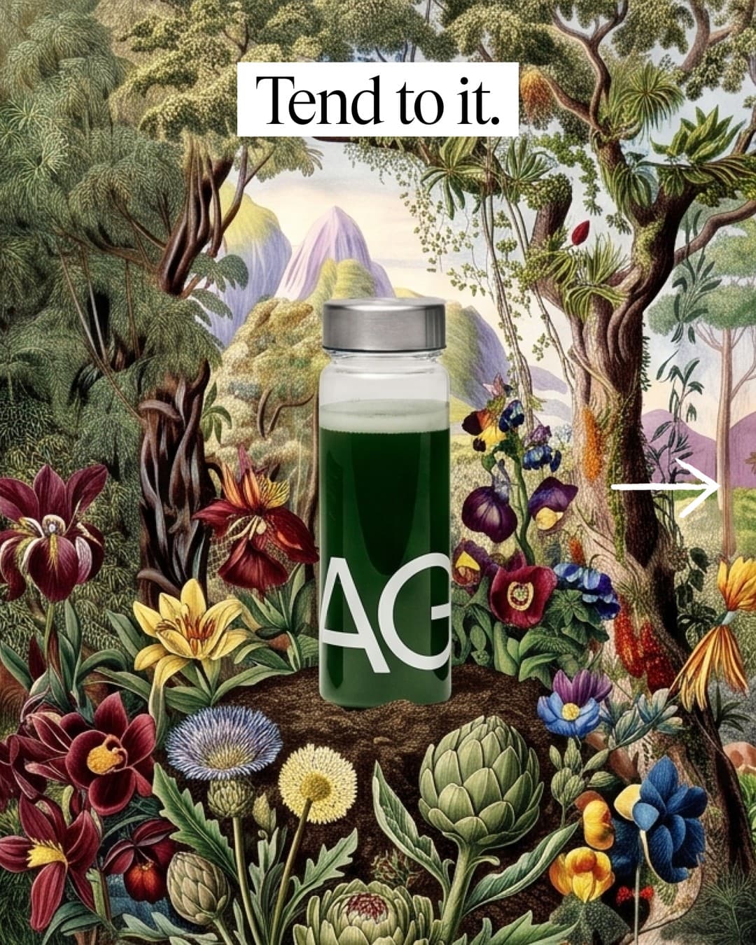 AG1 by Athletic Greens · Product Image ad
