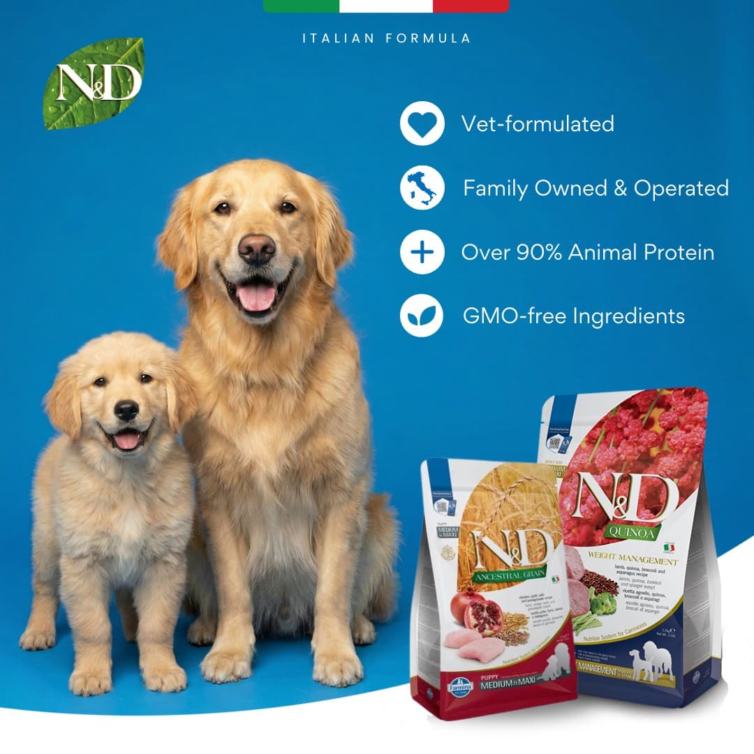 Chewy · Editorial ad