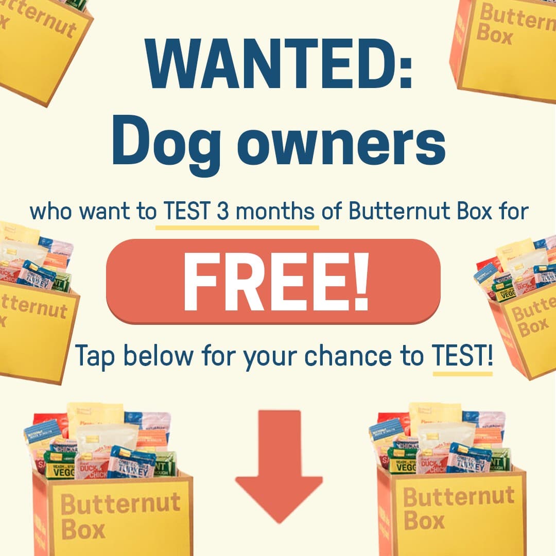 Butternut Box · Offer-First Banner ad