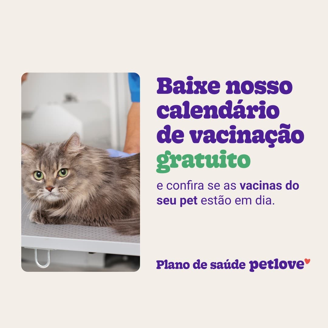 Petlove · Product Image ad