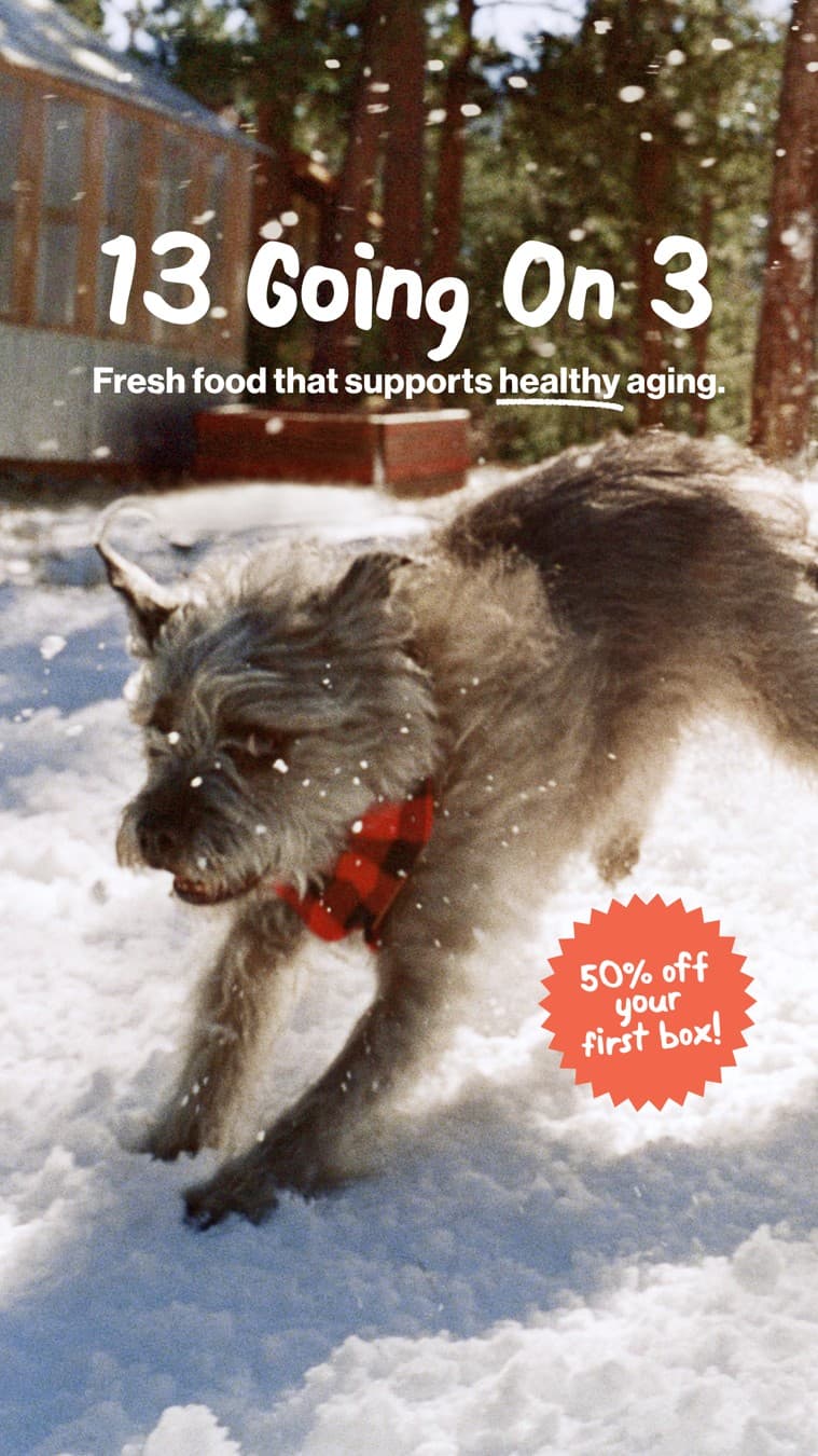 The Farmer's Dog · UGC Overlay ad
