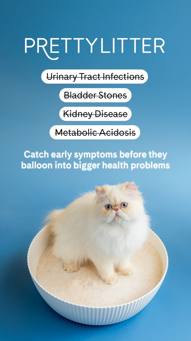 PrettyLitter · Product Image ad