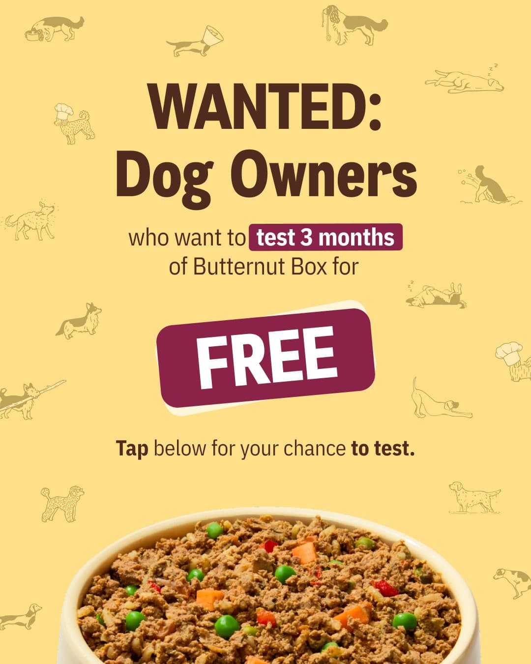 Butternut Box · Offer-First Banner ad