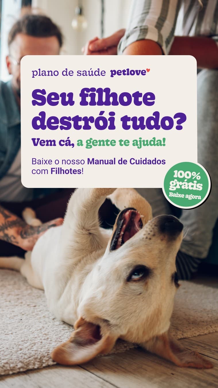 Petlove · Lifestyle Image ad