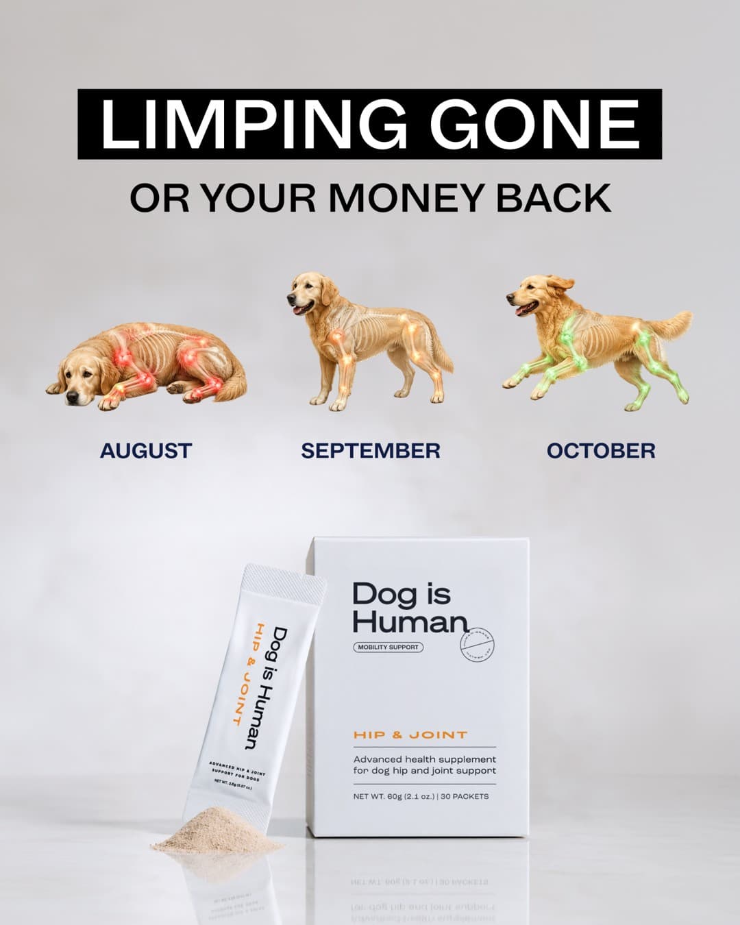 Dog is Human · Before and After ad
