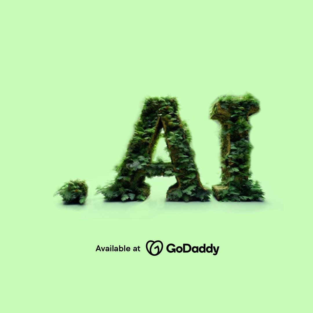 GoDaddy · Product Image ad