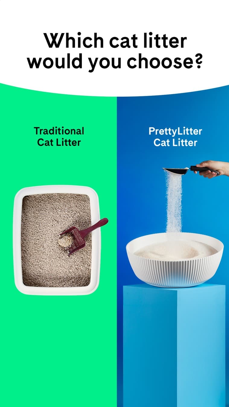 PrettyLitter · Quiz / Poll ad