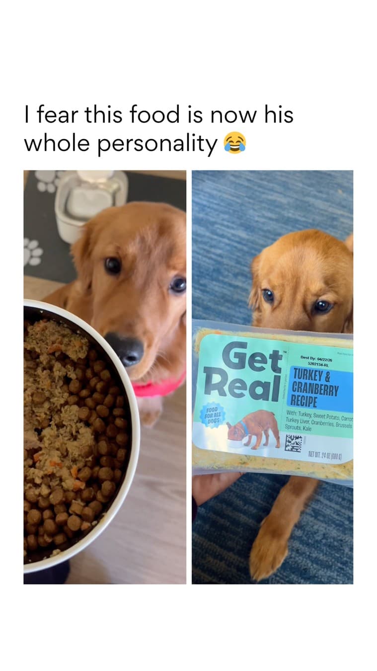 Chewy · UGC Overlay ad