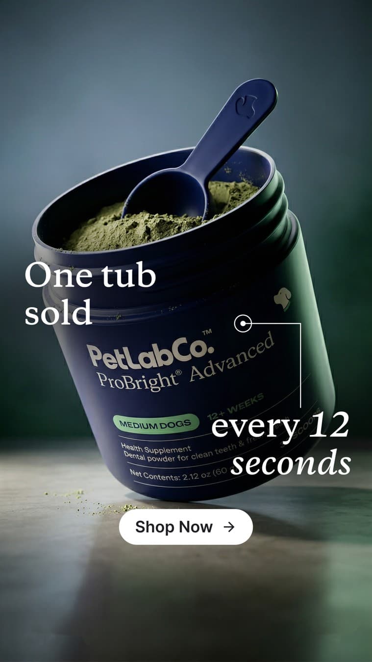 PetLab Co. · Product Image ad
