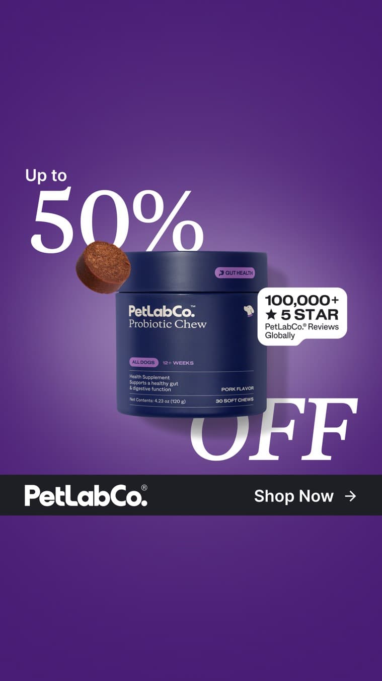 PetLab Co. · Offer-First Banner ad