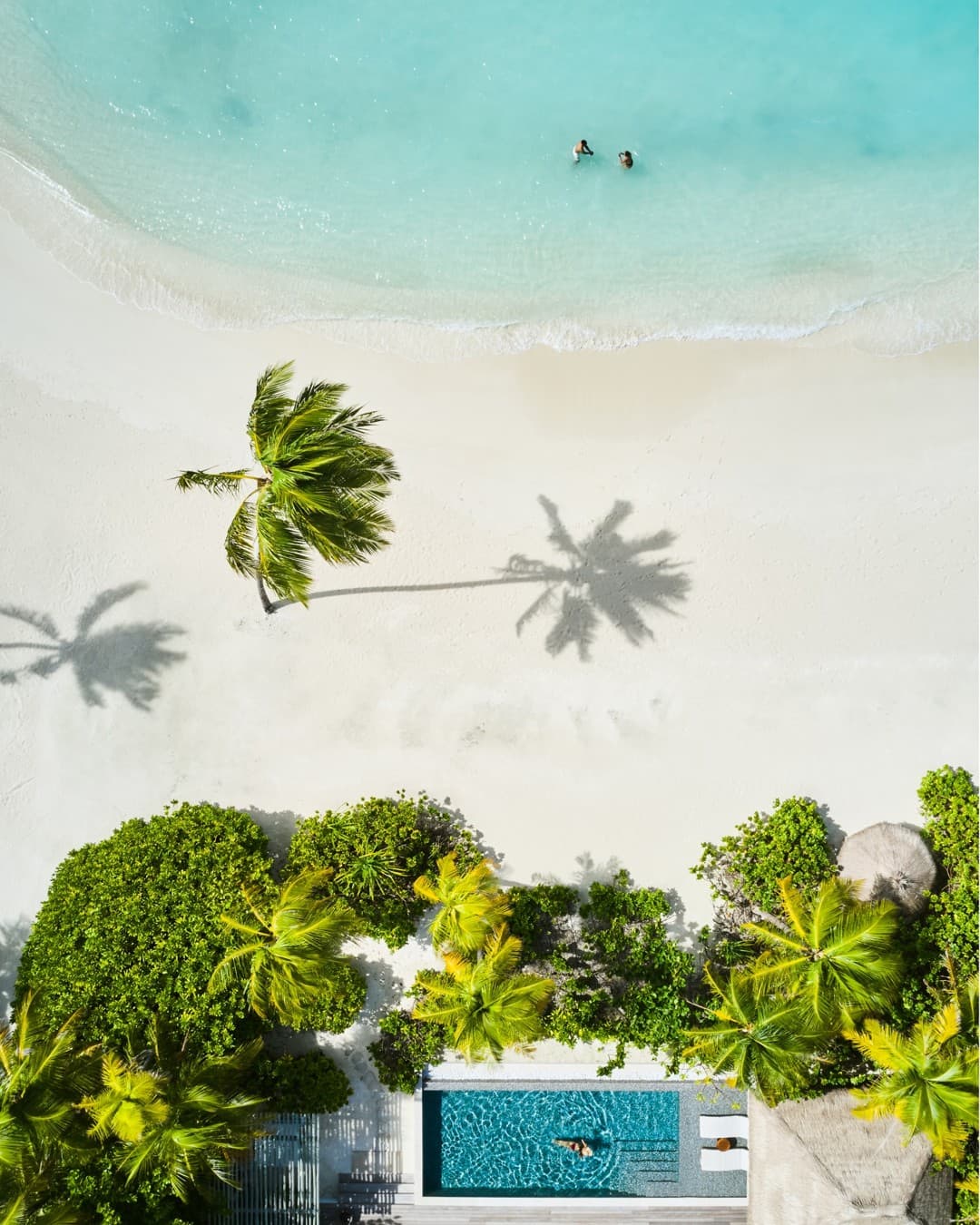 Hilton · Lifestyle Image ad
