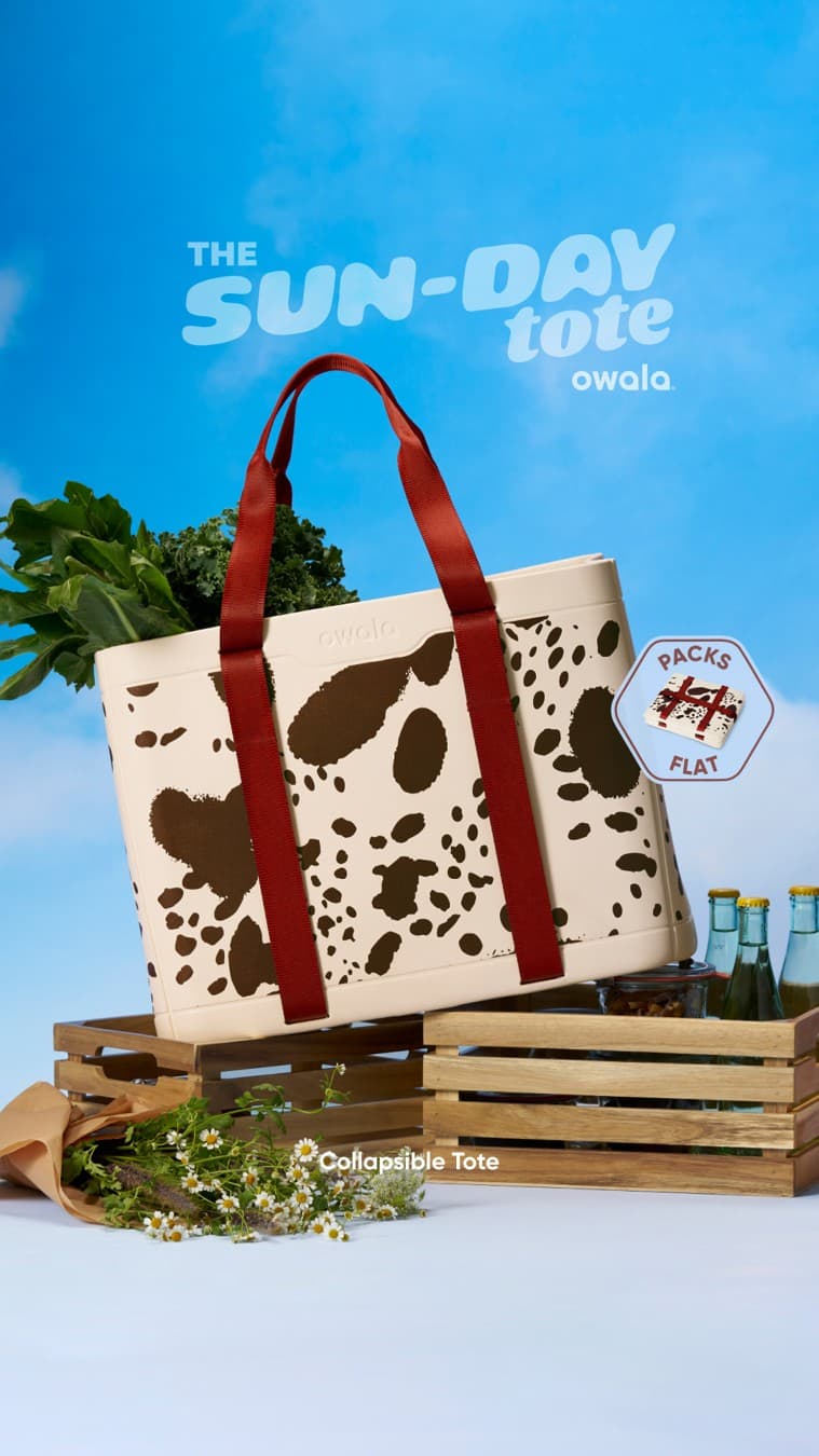 Owala · Product Image ad