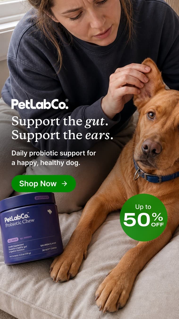 PetLab Co. · Lifestyle Image ad