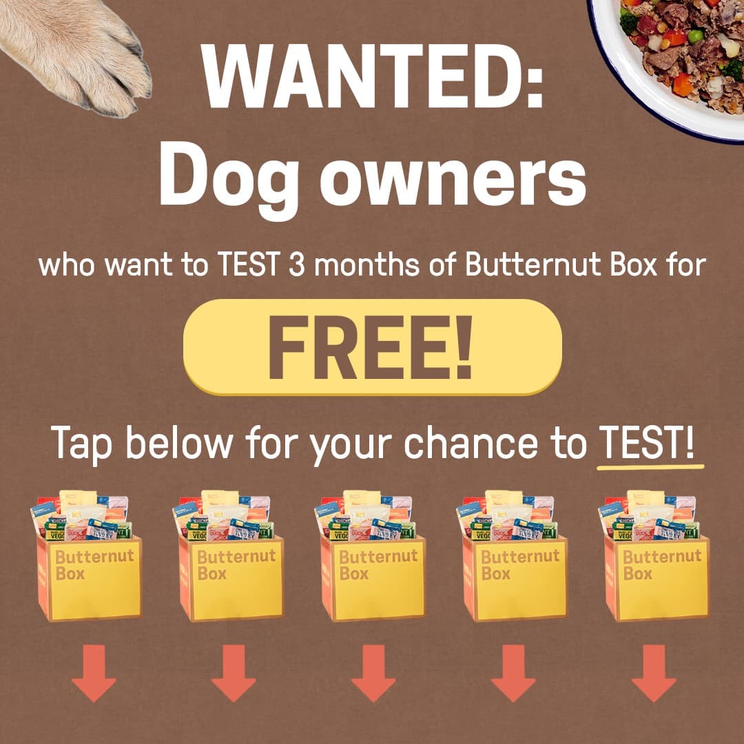 Butternut Box · Offer-First Banner ad