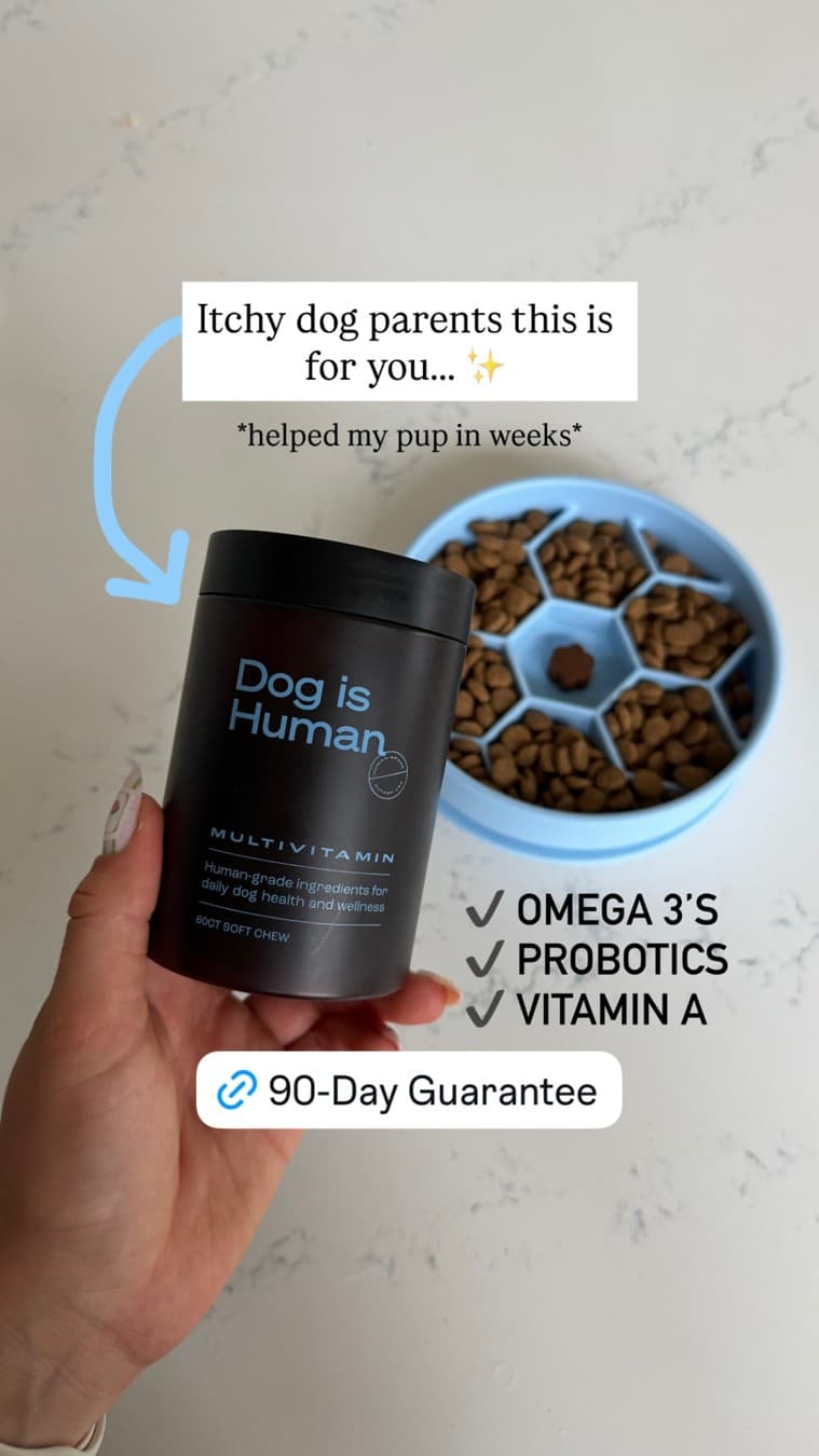 Dog is Human · UGC Overlay ad