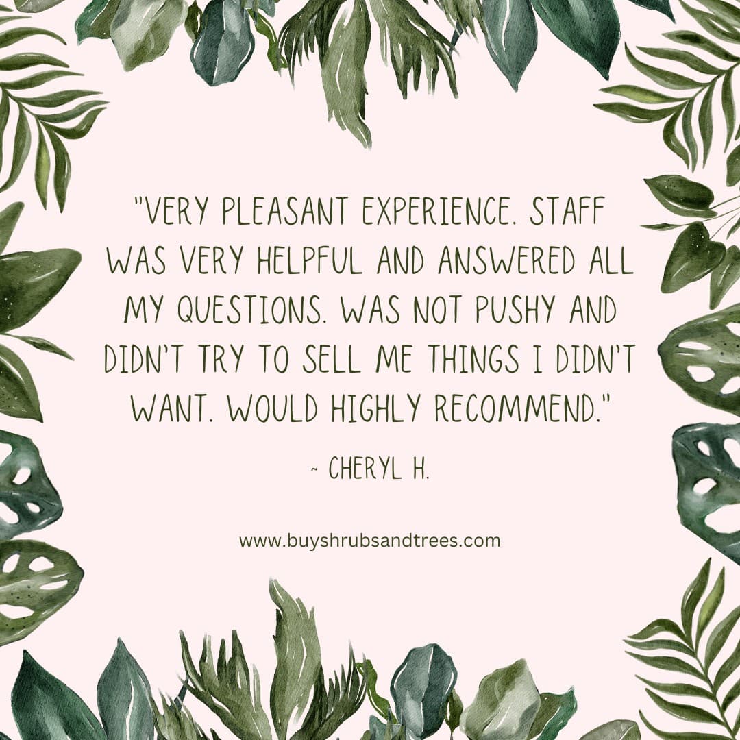 Shrubs & Trees LLC · Review ad