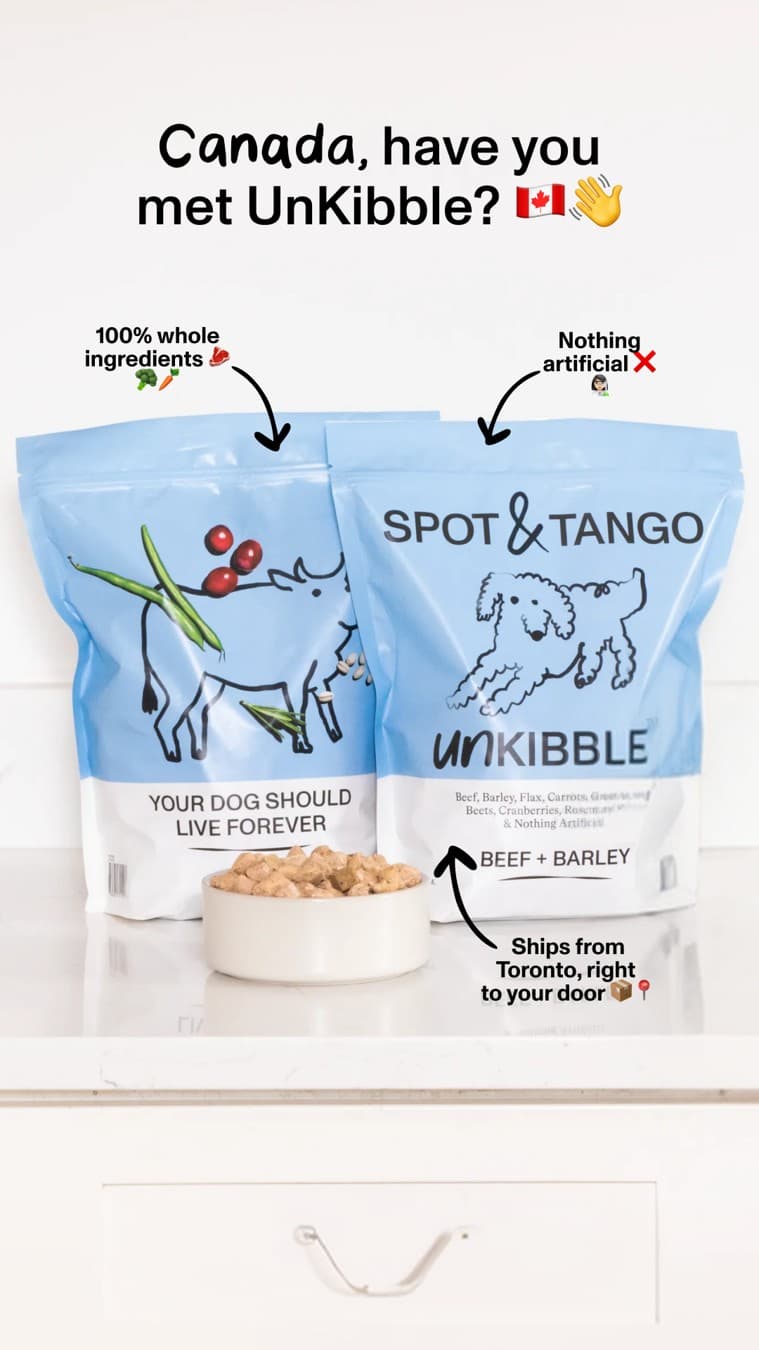 Spot and Tango · Feature Benefit Pointout ad