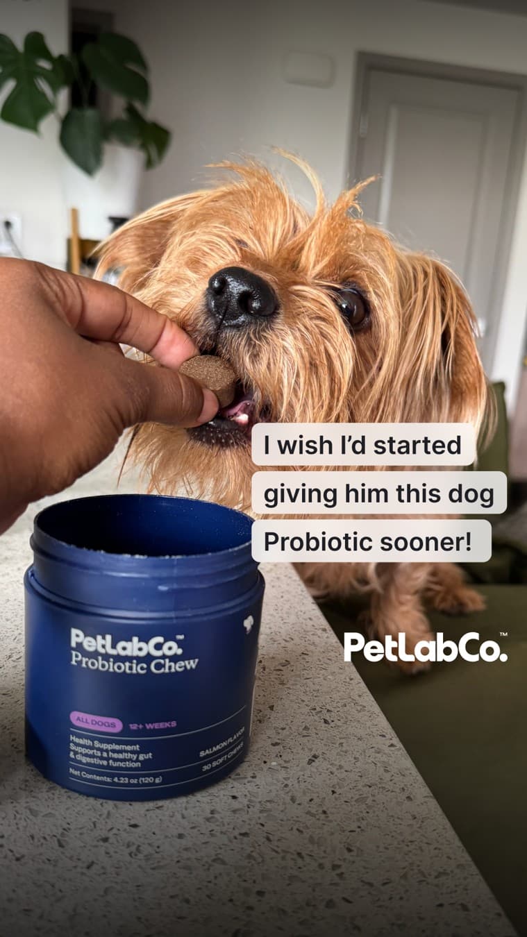 PetLab Co. · UGC Overlay ad