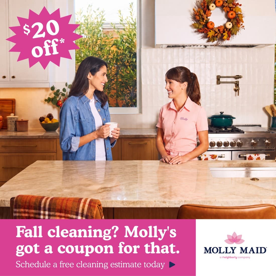 Molly Maid · Offer-First Banner ad