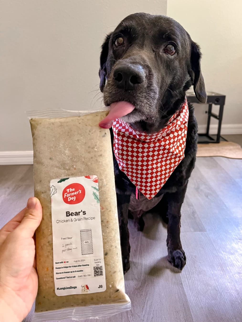 The Farmer's Dog · Lifestyle Image ad