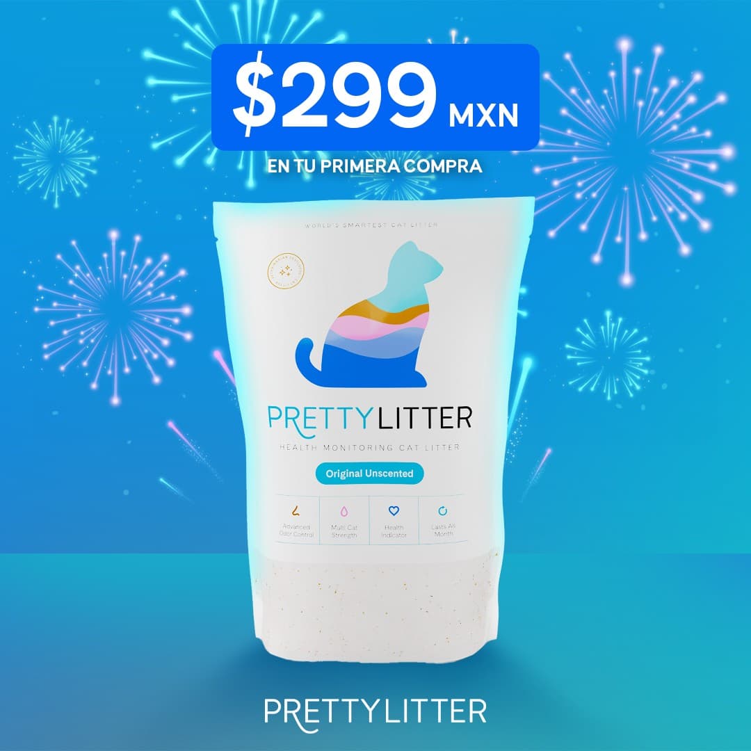 PrettyLitter · Offer-First Banner ad
