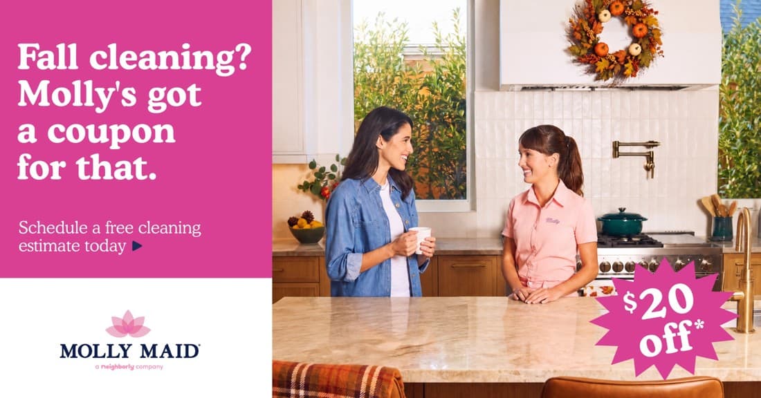 Molly Maid · Offer-First Banner ad