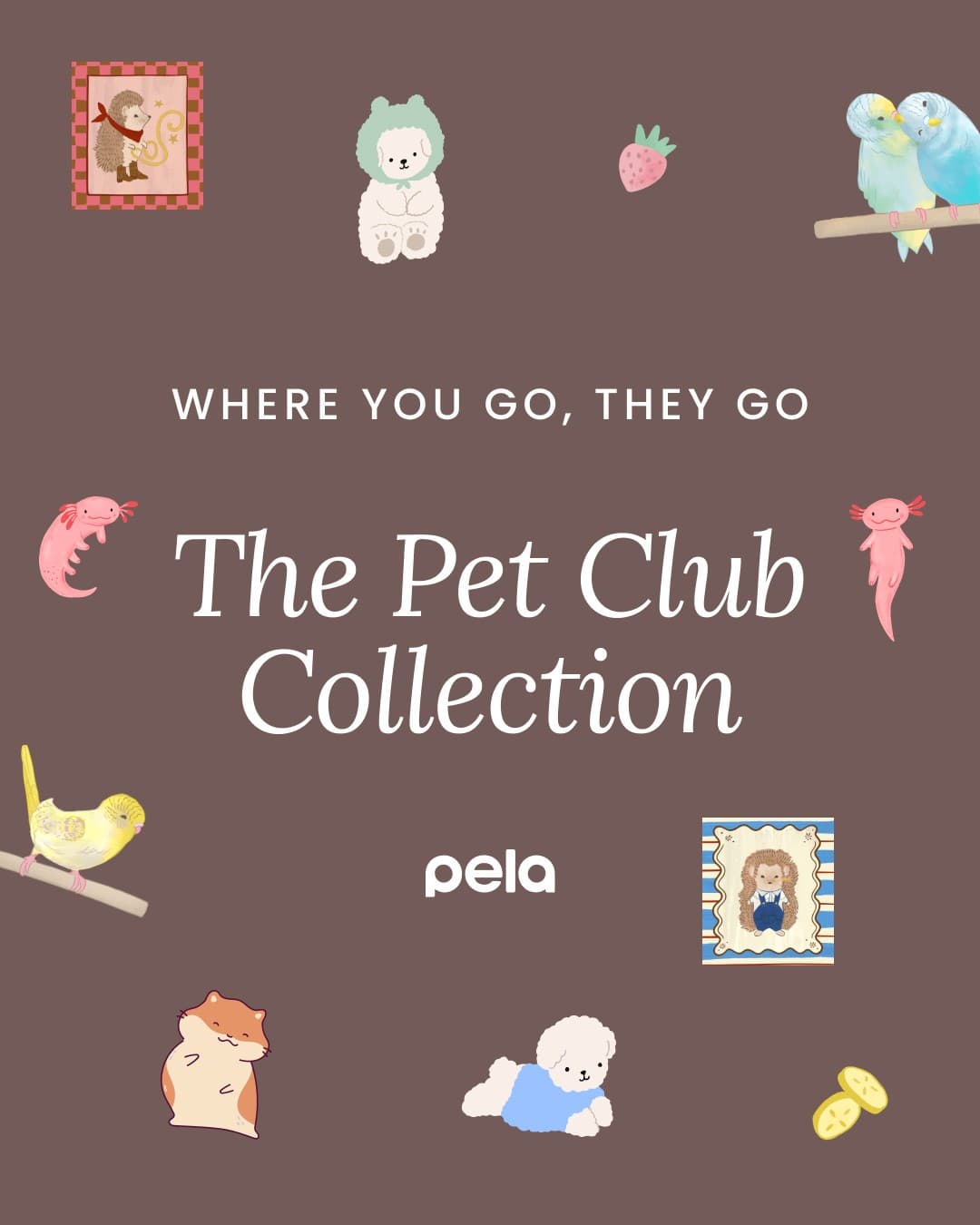 Pela Case · Collage ad