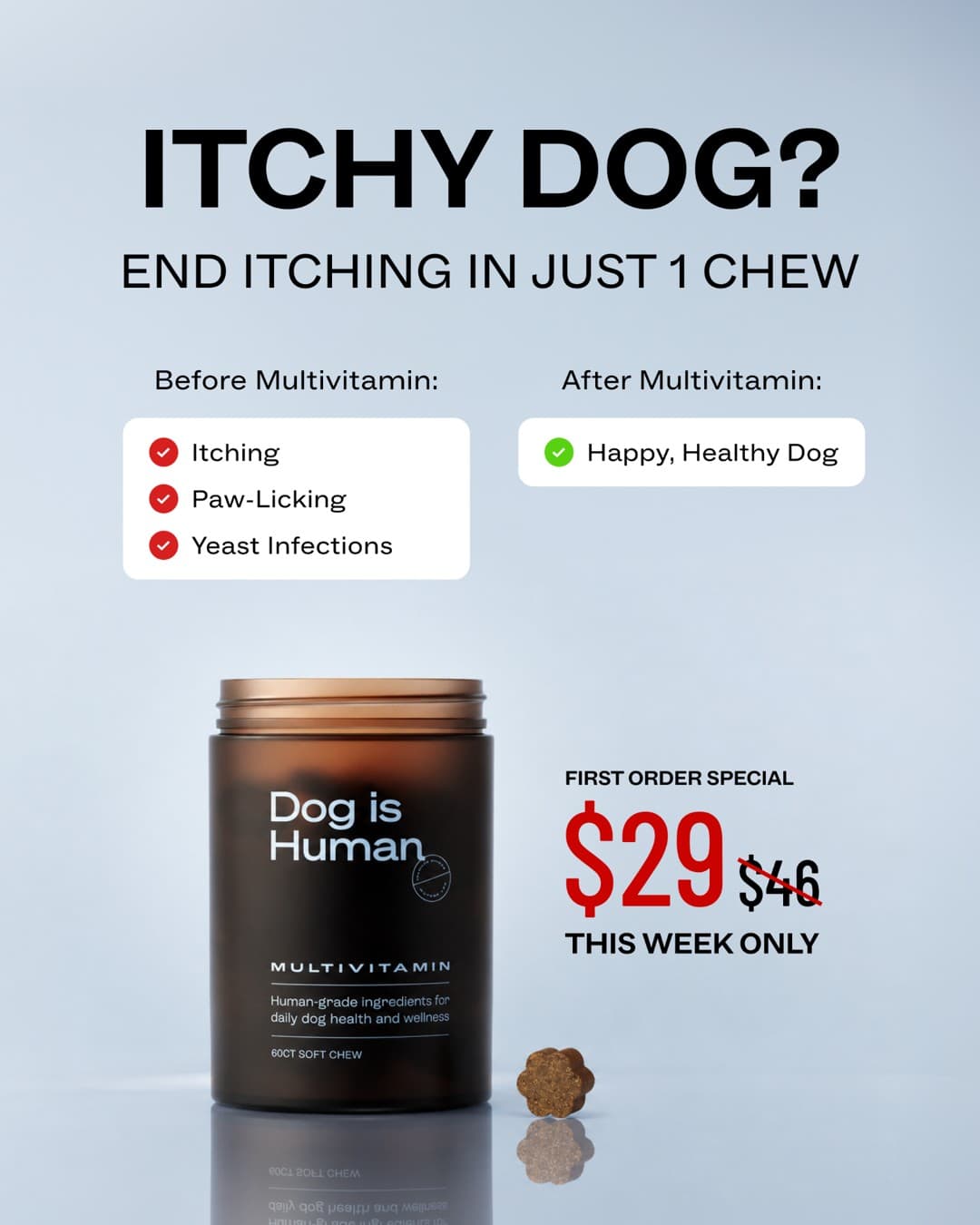 Dog is Human · Before and After ad