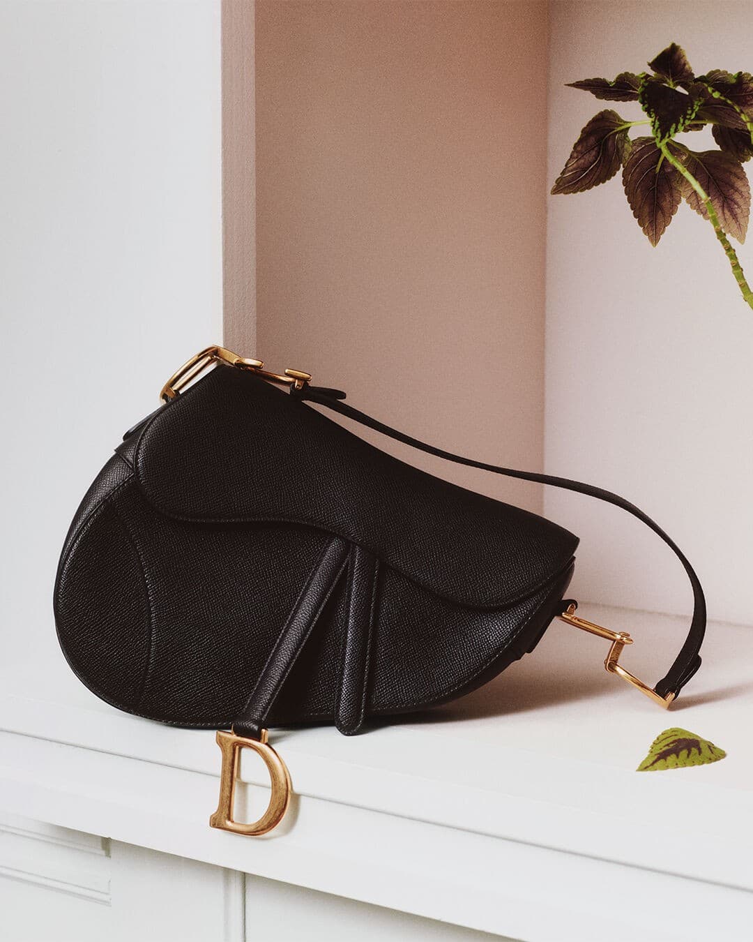 Dior · Product Image ad