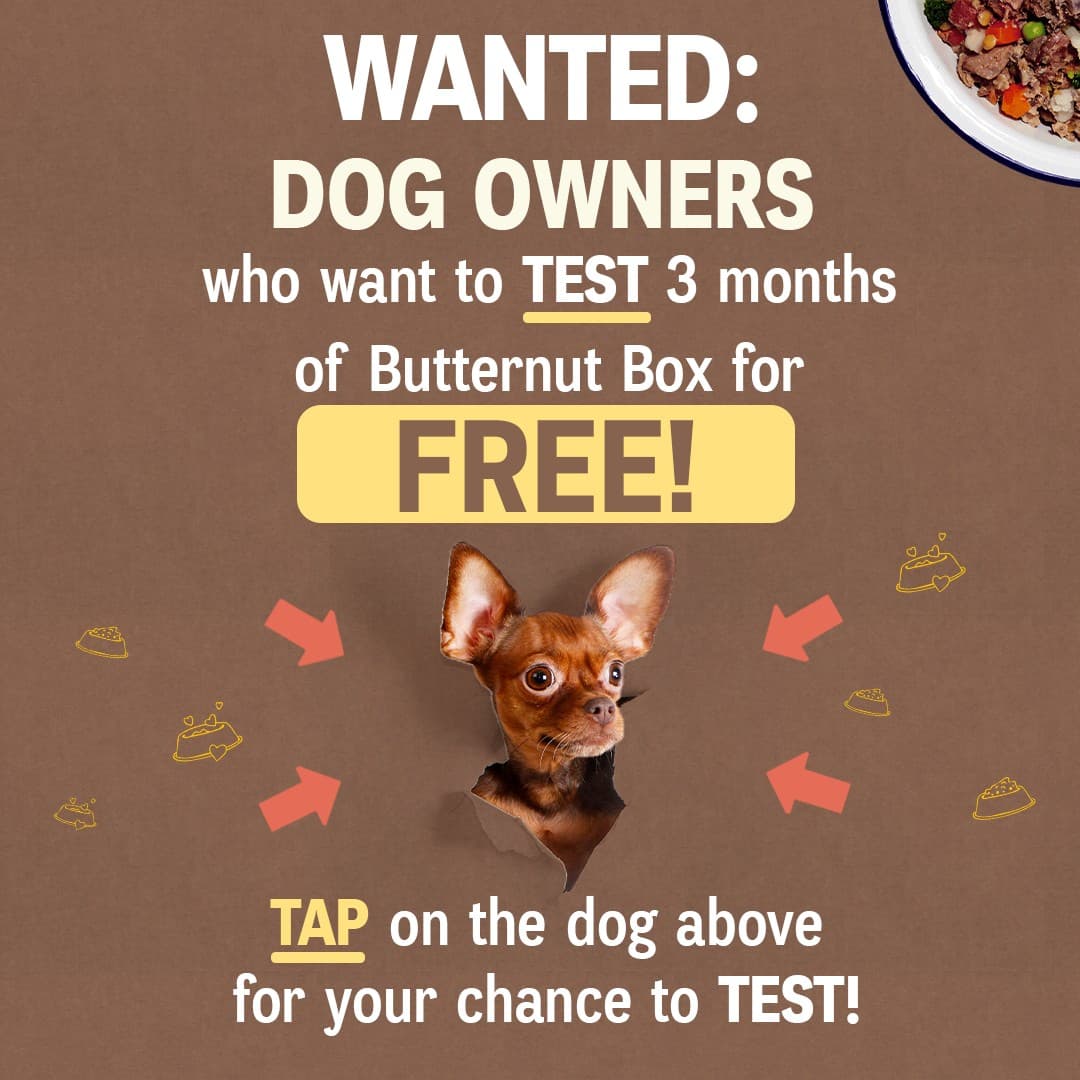 Butternut Box · Offer-First Banner ad