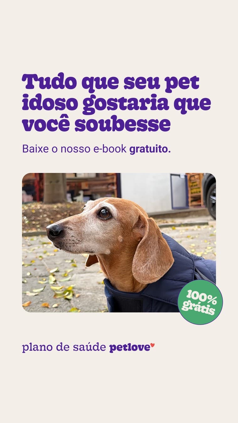 Petlove · Product Image ad